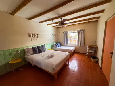 a bedroom with two beds and a window at Viajero Paracas Hostel in Paracas