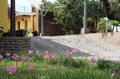 a garden with pink flowers in front of a house at Hostal Loma Blanca in Ica