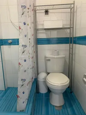 a bathroom with a toilet and a shower curtain at El Viejo Roble in Cusco