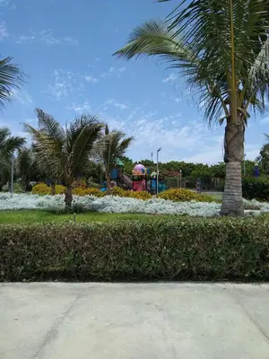 a park with palm trees and a roller coaster at La Casa Maruja Habitación doble P in San Bartolo
