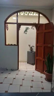 a room with an open door with a cat and a suitcase at JUMANA in Nazca