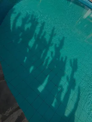 a reflection of a group of people in a swimming pool at Hosteria Suiza in Ica