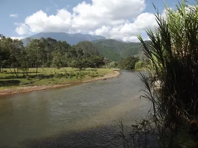 a river with trees and mountains in the background at La Casita de Oxapampa in Oxapampa