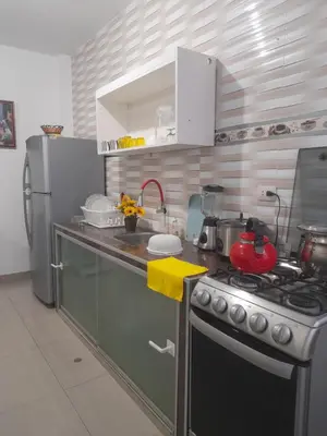a kitchen with a stove and a refrigerator at Cozy Whole Apartment in Lima
