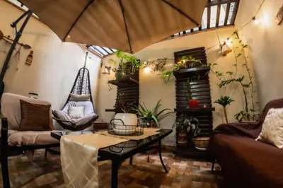a living room filled with lots of plants at Apartamento 3 Habitaciones Lima, Perú (Magdalena del Mar) in Lima