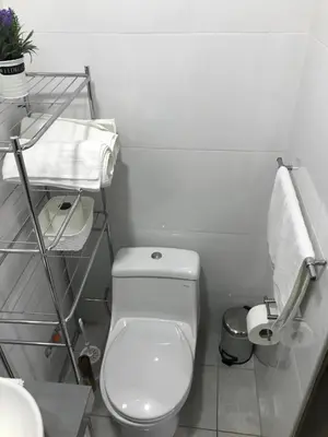 a white bathroom with a toilet and a towel at Minidepartamento céntrico entre Lince y San Isidro in Lima