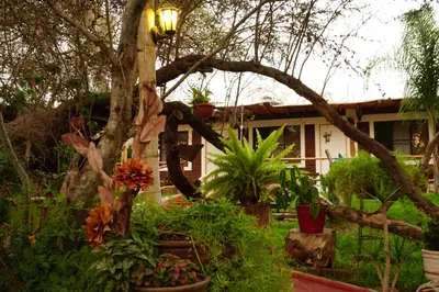 a garden with plants in front of a house at Rochabus in Ica