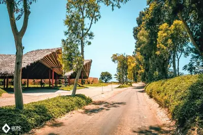 a dirt road in front of a building with trees at HOP PRAIA exclusiva laguna y playa en Chincha in Chincha Baja