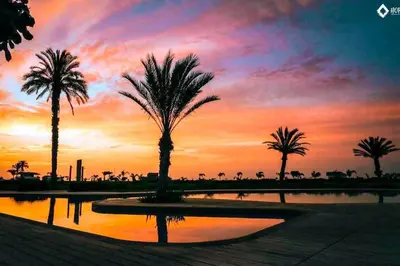 a sunset with palm trees and a pool of water at HOP BUZIOS exclusiva oasis y playa en Chincha in Chincha Baja