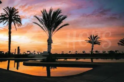a group of palm trees in front of a sunset at HOP ODAIBA exclusiva laguna y playa en Chincha in Chincha Baja