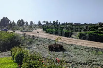 a dirt road in a field with bushes and trees at HOP ODAIBA exclusiva laguna y playa en Chincha in Chincha Baja