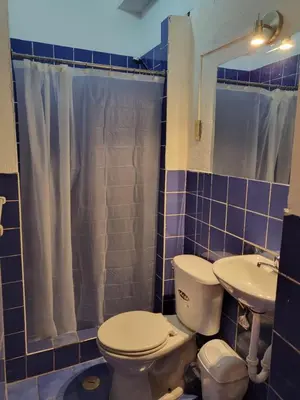 a bathroom with a toilet and a sink and a shower at Natural B&B Guest House in Cusco