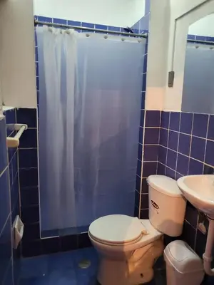 a bathroom with a toilet and a sink at Natural B&B Guest House in Cusco