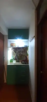 a room with a green wall and a desk with a light at Acojedor in Lima