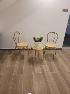 two chairs and a table with a potted plant at La Estancia Hotel Ica in Ica