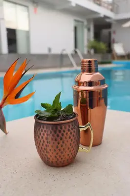 a juicer and a cup with a plant next to a pool at La Estancia Hotel Ica in Ica