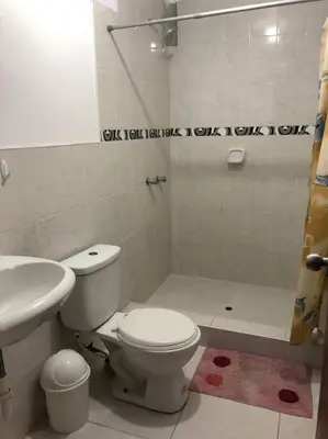 a bathroom with a toilet and a sink and a shower at Departamentos Cerro Azul P1 in Cerro Azul