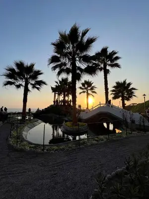 a bridge over a pond with palm trees and the sunset at WasiPai Boutique Hotel in Lima