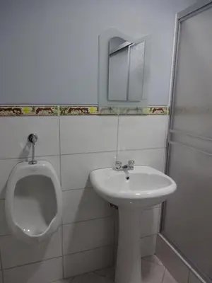 a bathroom with a urinal and a white sink at Matty House in Lima