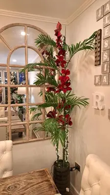 a plant with red flowers in a vase on a table at Casa Ramos Salamanca - Airport pick up and drop off service - Homestay in Lima