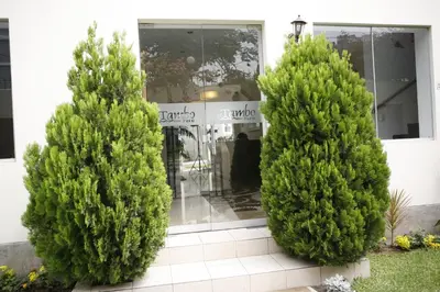 three pine trees in front of a store at El Tambo 1 in Lima