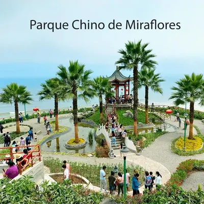 a group of people in a park with palm trees at III Acogedora Habitación Privada en Miraflores City in Lima