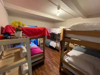 a room with several bunk beds in a room at The Sleepy Mouse in Cusco