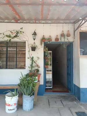 an entrance to a building with potted plants at Hospedaje Quillabamba in Santa Teresa
