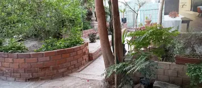 a garden with a brick wall and some plants at Departamento 6p Tierra del Sol Eterno - Ica centro in Ica