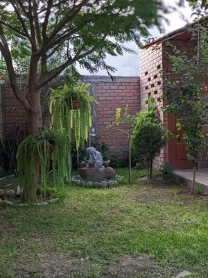 a garden with a statue next to a brick building at Casa Hotel Mamaluna in Lunahuaná