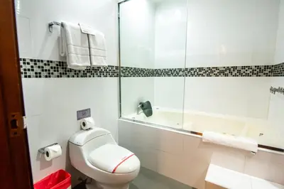a white bathroom with a toilet and a shower at El Polo Hotel & Suites in Lima
