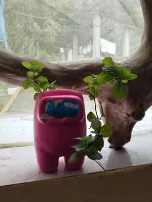 a pink pot sitting on a window sill next to a plant at ECO ART Best view Machu Picchu in Machu Picchu