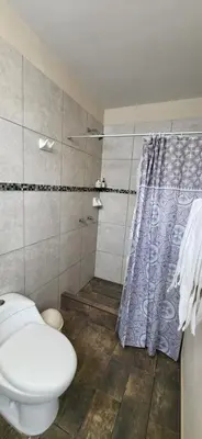 a bathroom with a toilet and a shower curtain at L & P Apart Punta Hermosa in Punta Hermosa