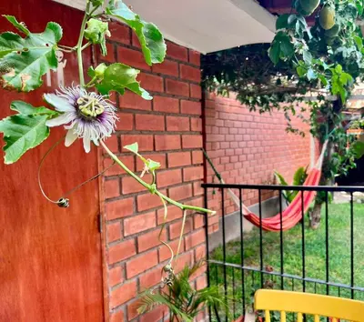 Gallery image of Lindo dpto con vista al jardin, internet y cable in Lima