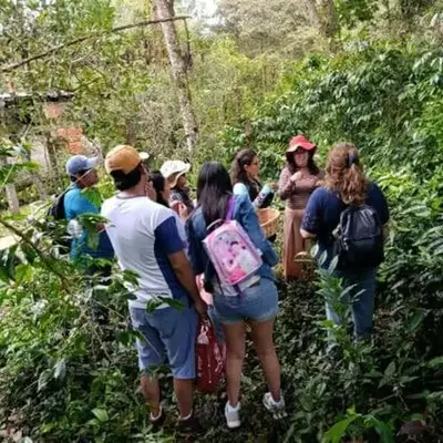 la casa de mamá