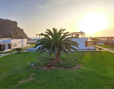 a palm tree in a yard in front of a house at Alquilo casa de playa Condominio Playa Azul cerca de Asia in Cerro Azul